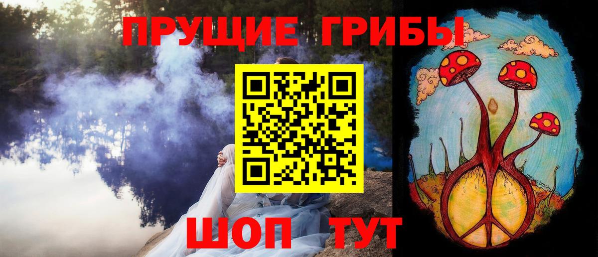 Галлюциногенные грибы прущие грибы Кандалакша